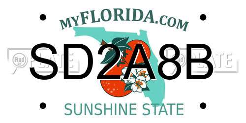 SD2A8B Florida License Plate