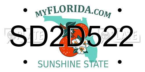 SD2D522 Florida License Plate