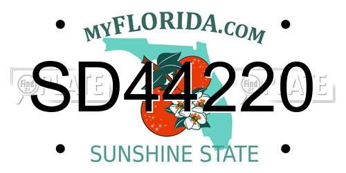 SD44220 Florida License Plate