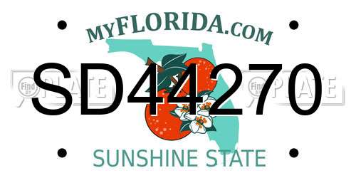 SD44270 Florida License Plate
