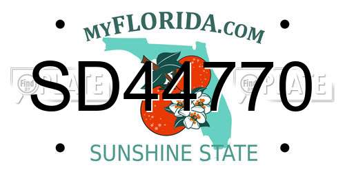SD44770 Florida License Plate
