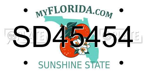 SD45454 Florida License Plate