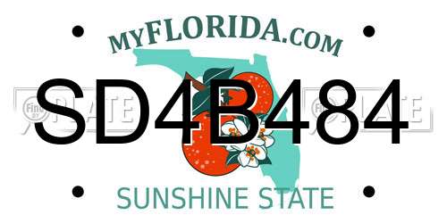 SD4B484 Florida License Plate