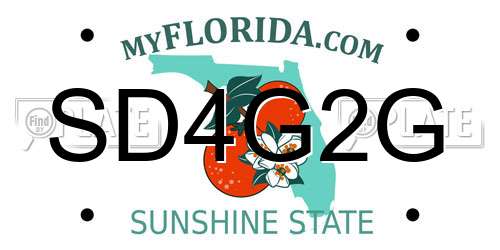 SD4G2G Florida License Plate