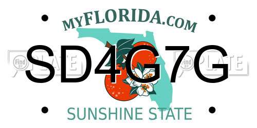 SD4G7G Florida License Plate