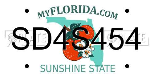 SD4S454 Florida License Plate