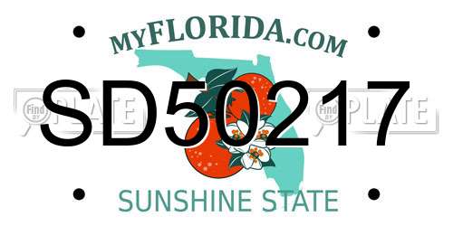 SD50217 Florida License Plate