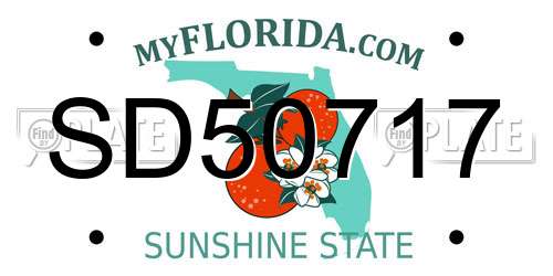 SD50717 Florida License Plate