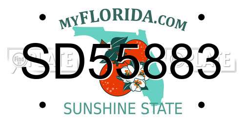 SD55883 Florida License Plate
