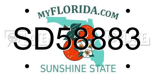 SD58883 Florida License Plate