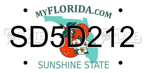 SD5D212 Florida License Plate