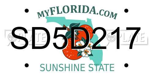SD5D217 Florida License Plate