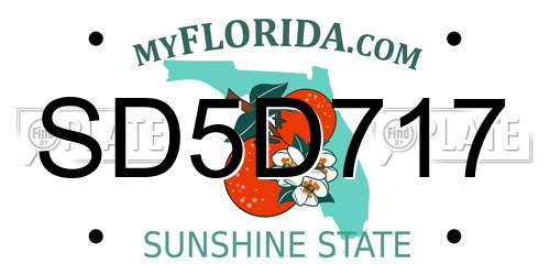 SD5D717 Florida License Plate
