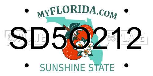 SD5O212 Florida License Plate