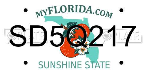 SD5Q217 Florida License Plate