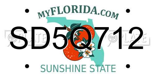 SD5Q712 Florida License Plate