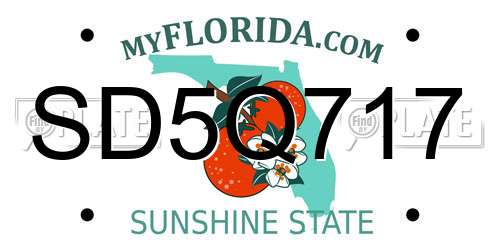 SD5Q717 Florida License Plate
