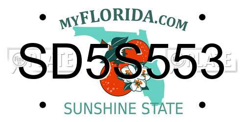 SD5S553 Florida License Plate