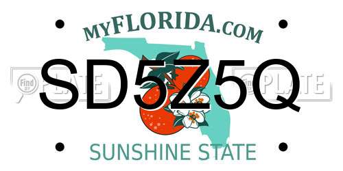 SD5Z5Q Florida License Plate