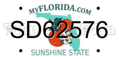SD62576 Florida License Plate