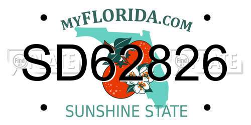 SD62826 Florida License Plate