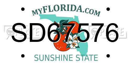 SD67576 Florida License Plate