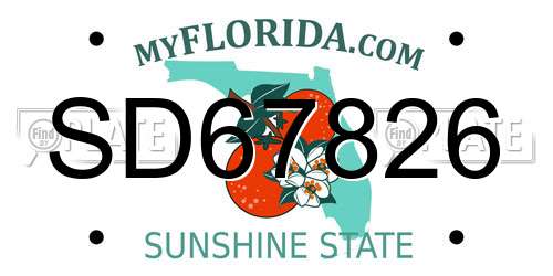 SD67826 Florida License Plate