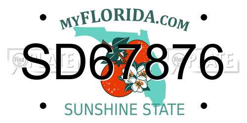 SD67876 Florida License Plate