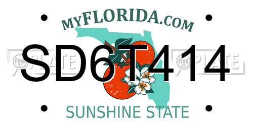 SD6T414 Florida License Plate