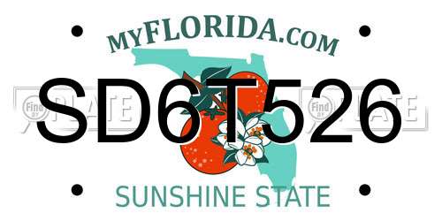 SD6T526 Florida License Plate