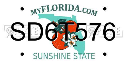 SD6T576 Florida License Plate