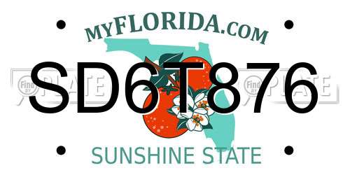 SD6T876 Florida License Plate