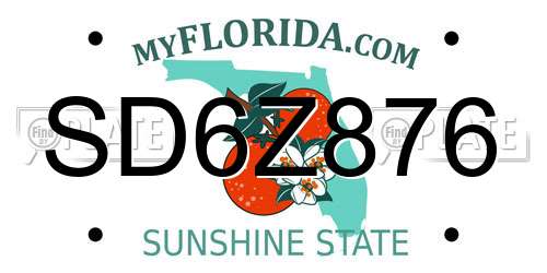 SD6Z876 Florida License Plate
