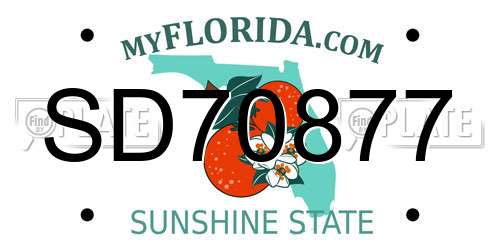 SD70877 Florida License Plate