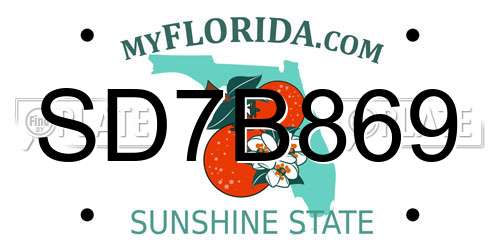 SD7B869 Florida License Plate