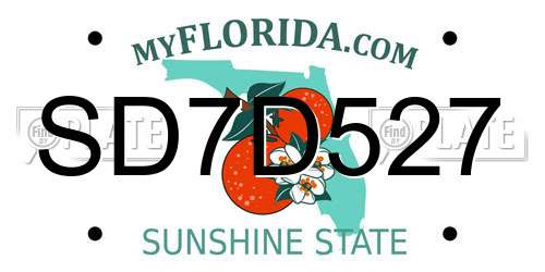 SD7D527 Florida License Plate