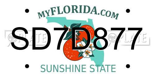 SD7D877 Florida License Plate