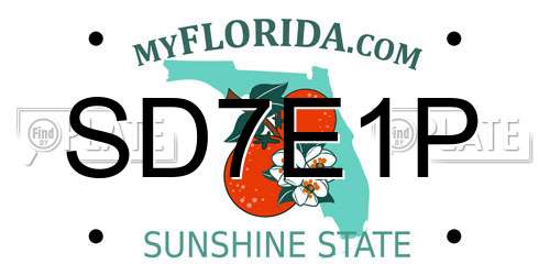 SD7E1P Florida License Plate
