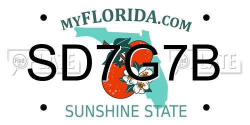 SD7G7B Florida License Plate