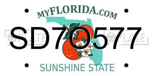 SD7O577 Florida License Plate