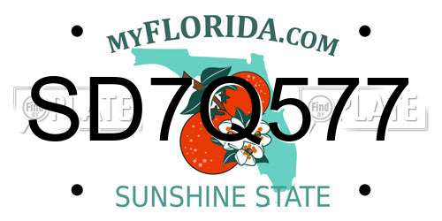 SD7Q577 Florida License Plate