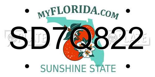 SD7Q822 Florida License Plate