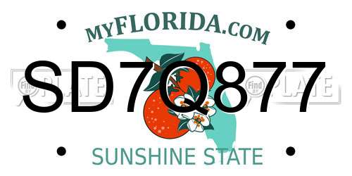 SD7Q877 Florida License Plate