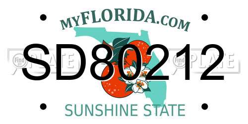 SD80212 Florida License Plate