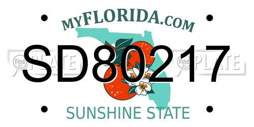SD80217 Florida License Plate