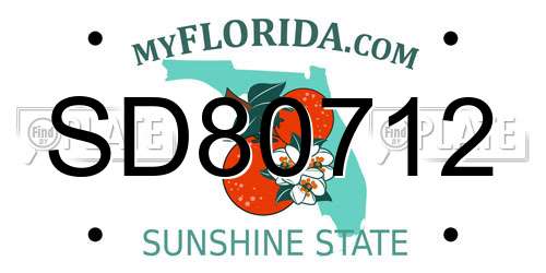 SD80712 Florida License Plate