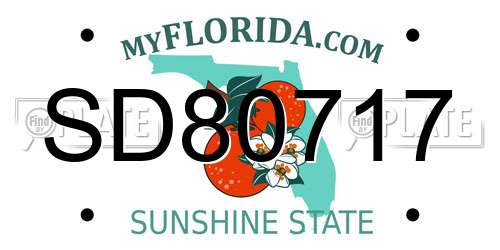 SD80717 Florida License Plate