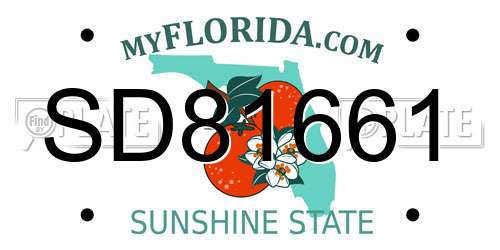 SD81661 Florida License Plate