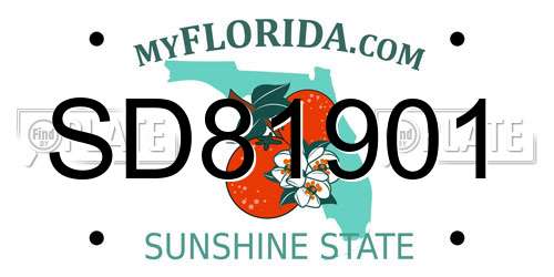 SD81901 Florida License Plate