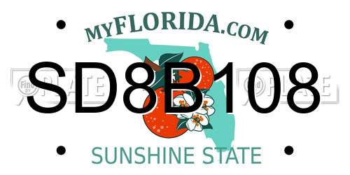SD8B108 Florida License Plate